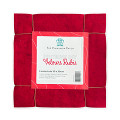 ASSORTIMENT DE FEUTRINE DIY VELOURS RUBIS
