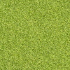FEUTRINE THÉ MATCHA