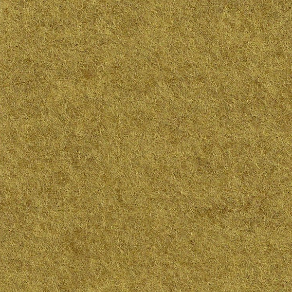 FEUTRINE MOUTARDE AU MIEL